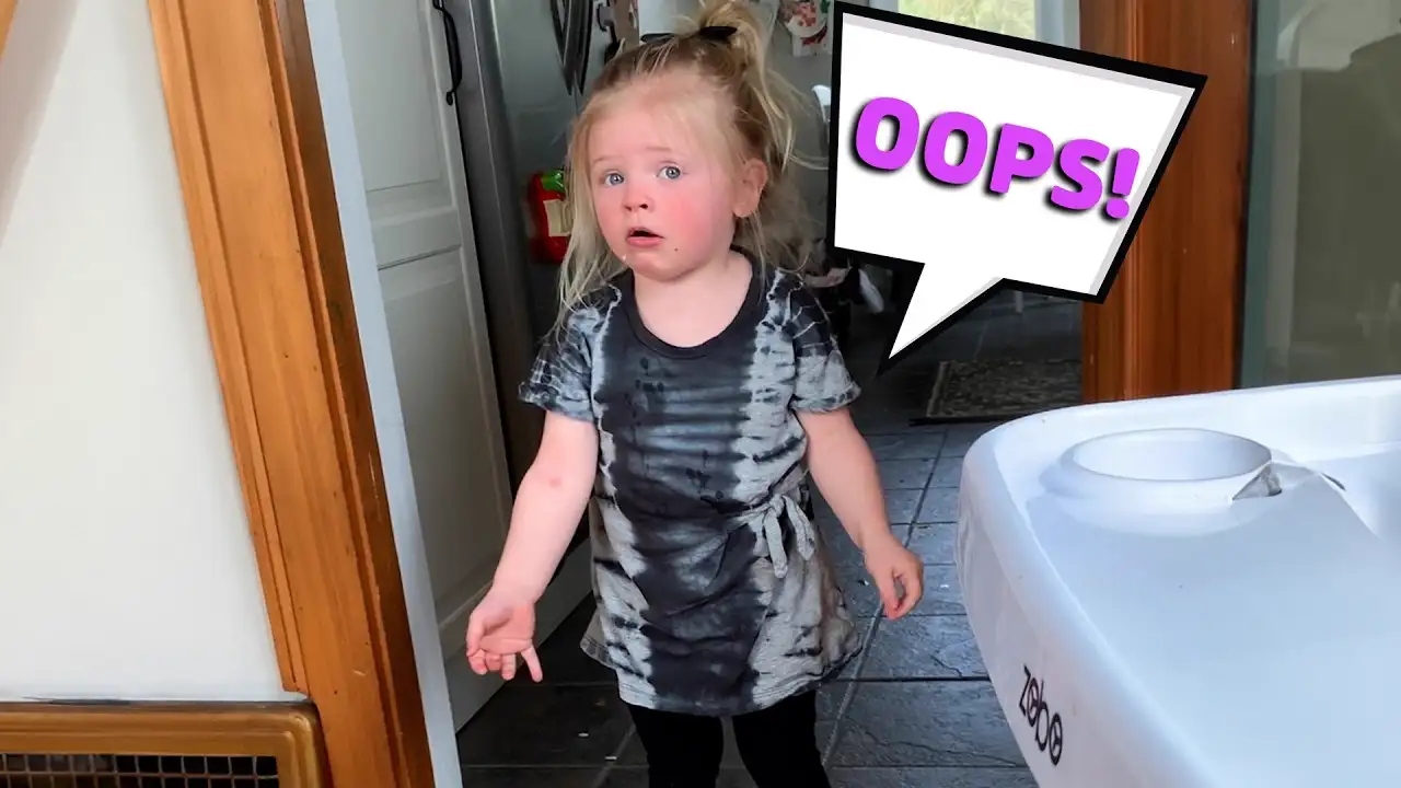 Wait! I Can Explain! 😬 Funniest Quotes of Troublemaking Kids!